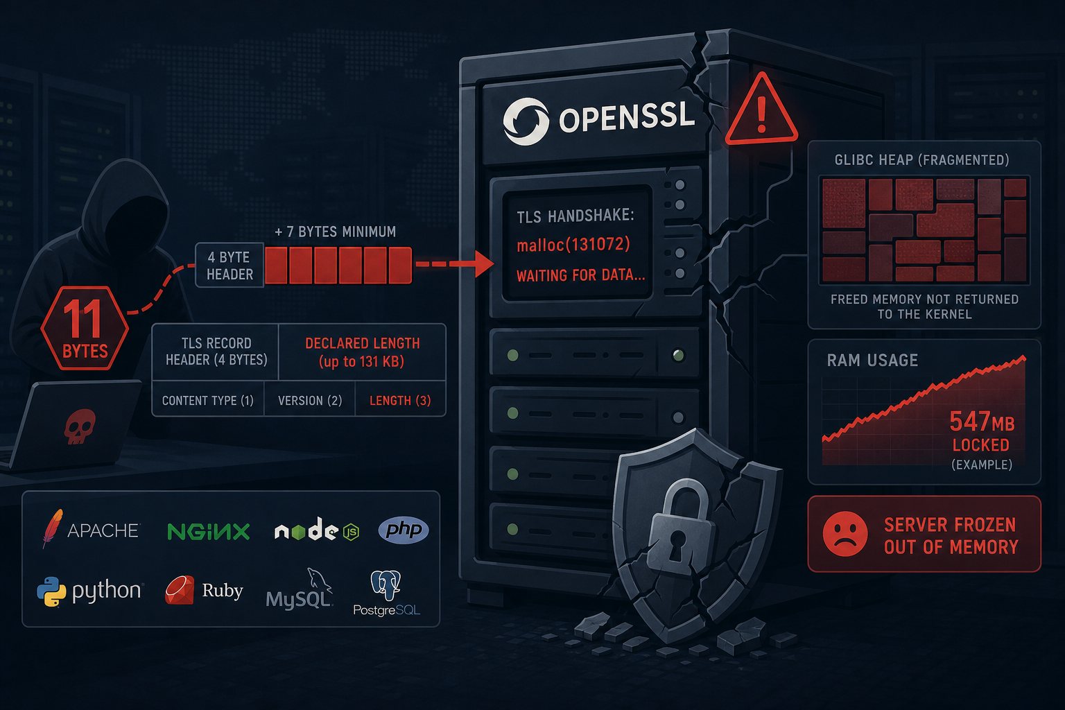 HollowByte: The 11-Byte OpenSSL Attack That Freezes Your Server